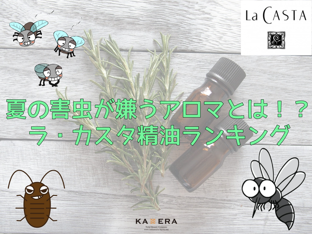 夏のアロマ活用法 虫が嫌う精油とは 新着情報 株式会社ナカムラ