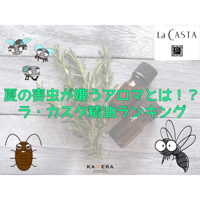 【ラ・カスタ】夏のアロマ活用法！虫が嫌う精油とは！？ ラ・カスタ阿部さんに聞いてみた！！